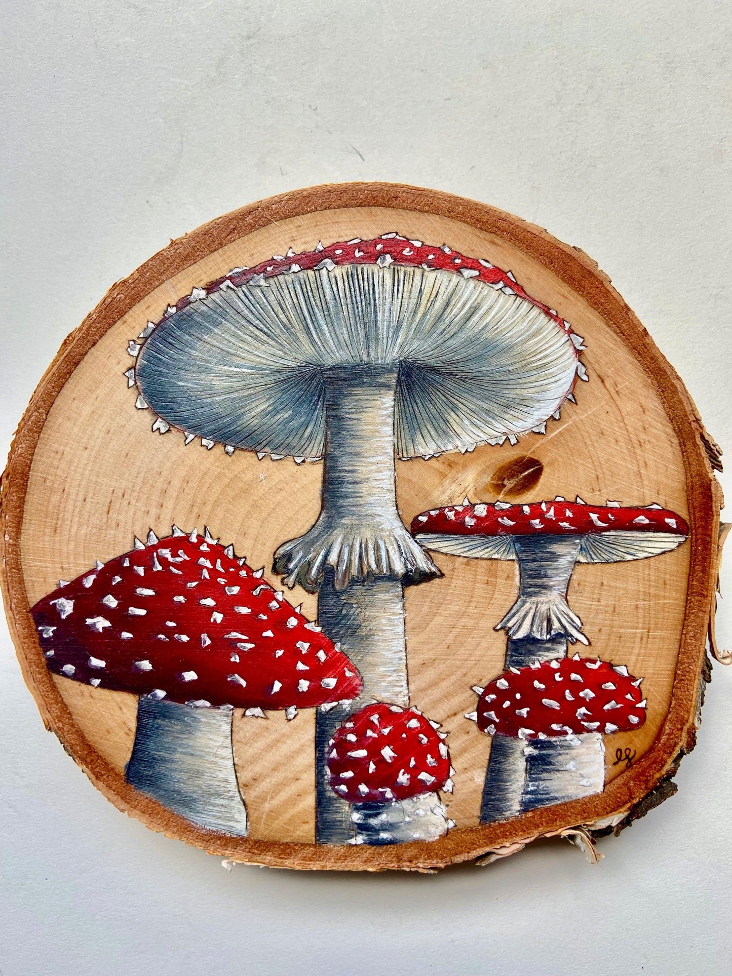 Wild Mushrooms Original Pyrography - Wood Vibes Art