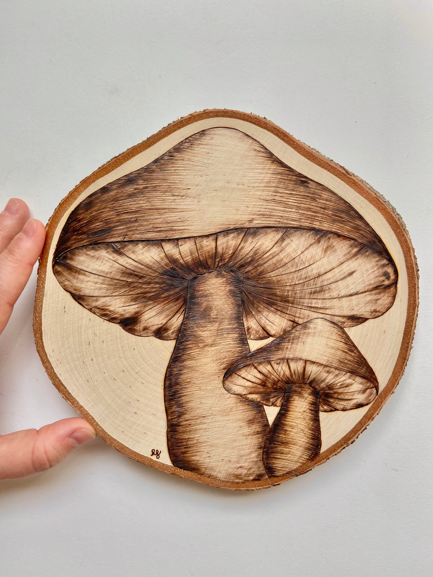 Simply Burned Mushrooms Original Pyrography (50% off at checkout)