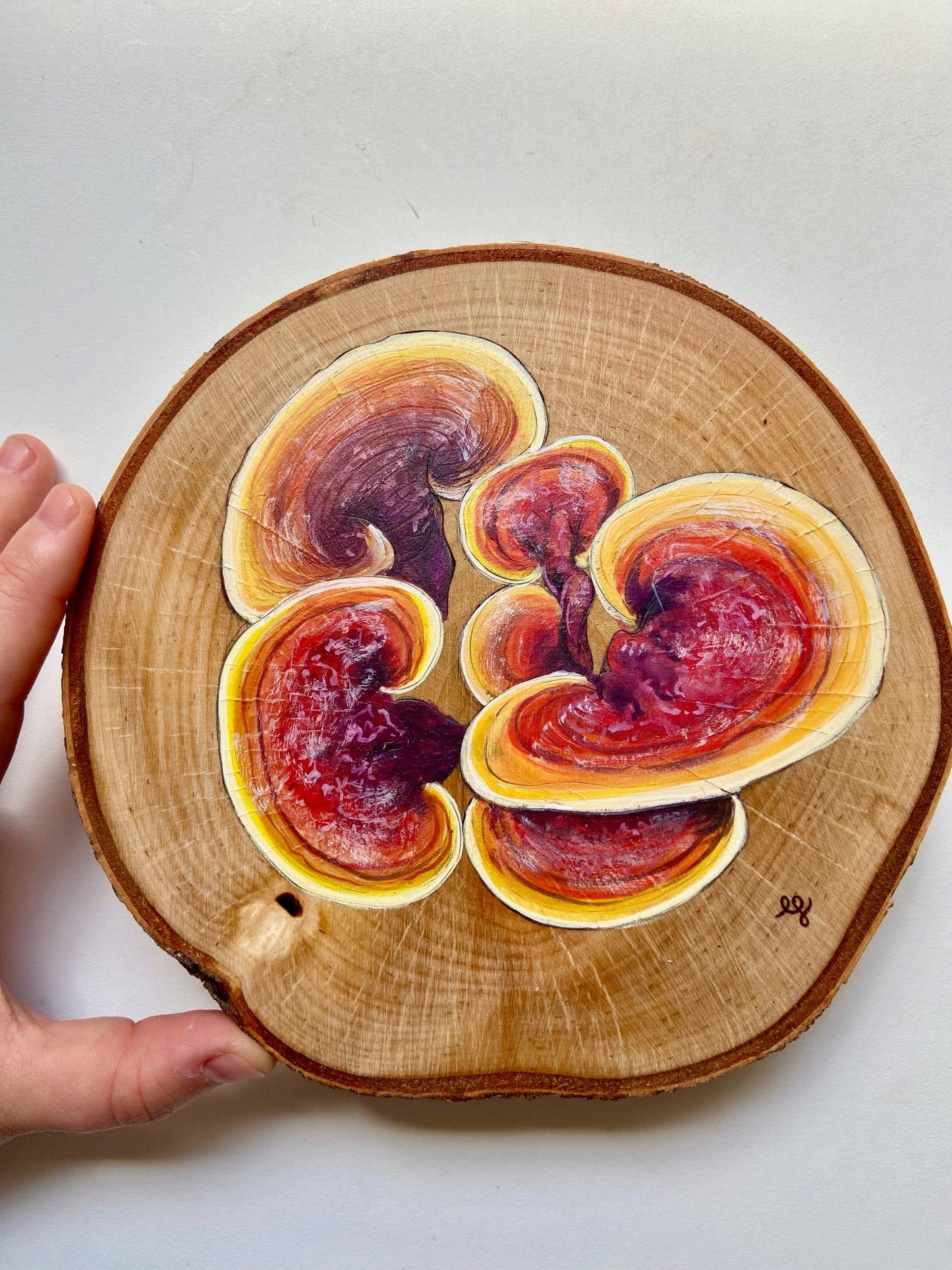 Wild Mushrooms Original Pyrography - Wood Vibes Art