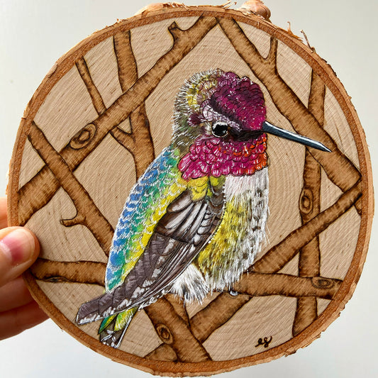 Hummingbird - Original Pyrography