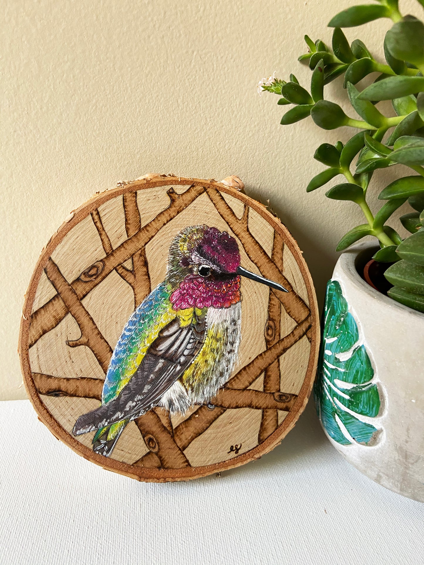 Hummingbird - Original Pyrography