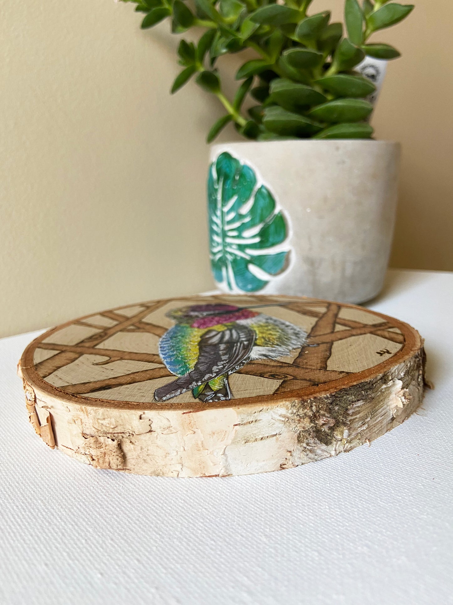 Hummingbird - Original Pyrography