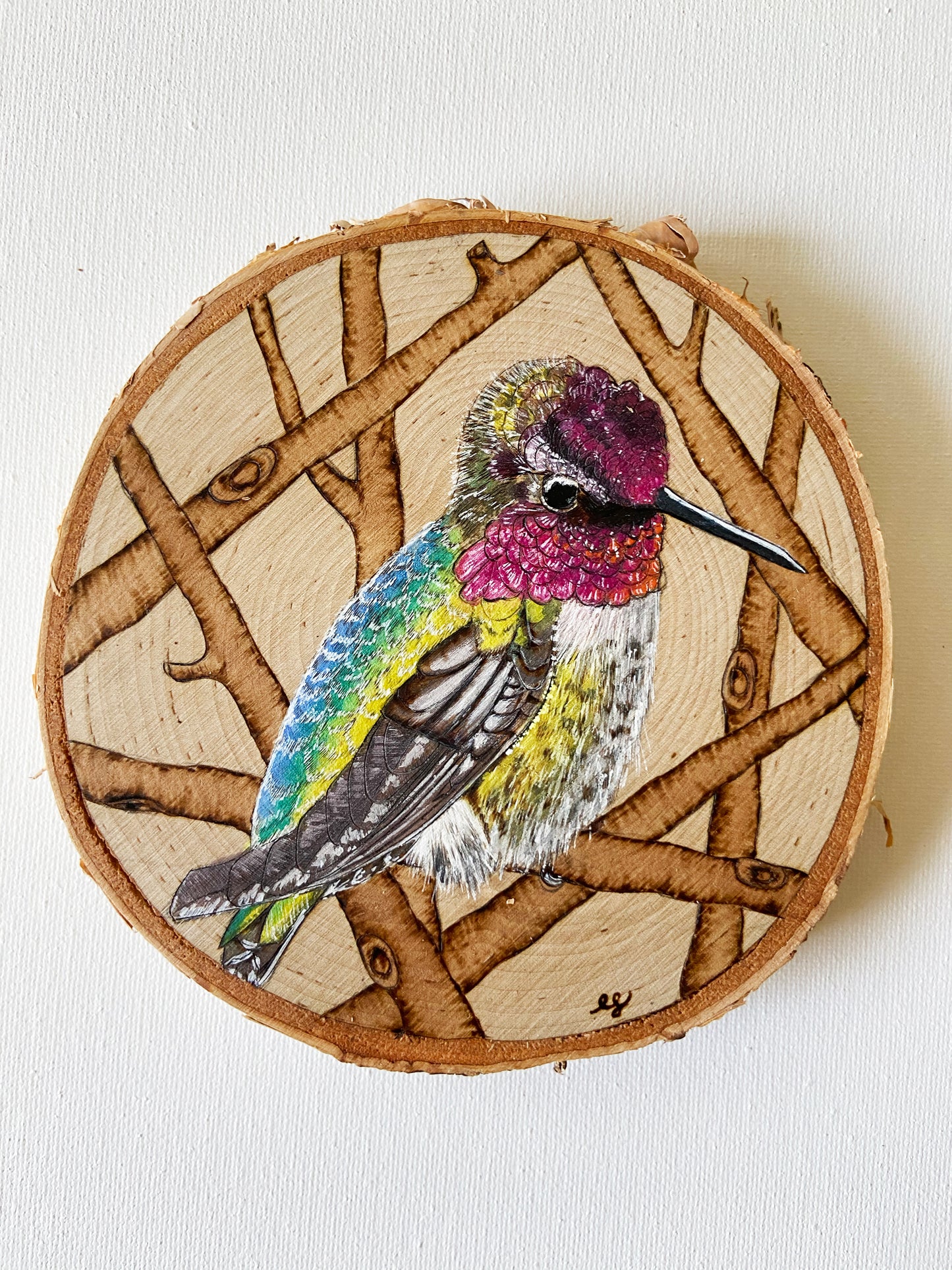 Hummingbird - Original Pyrography