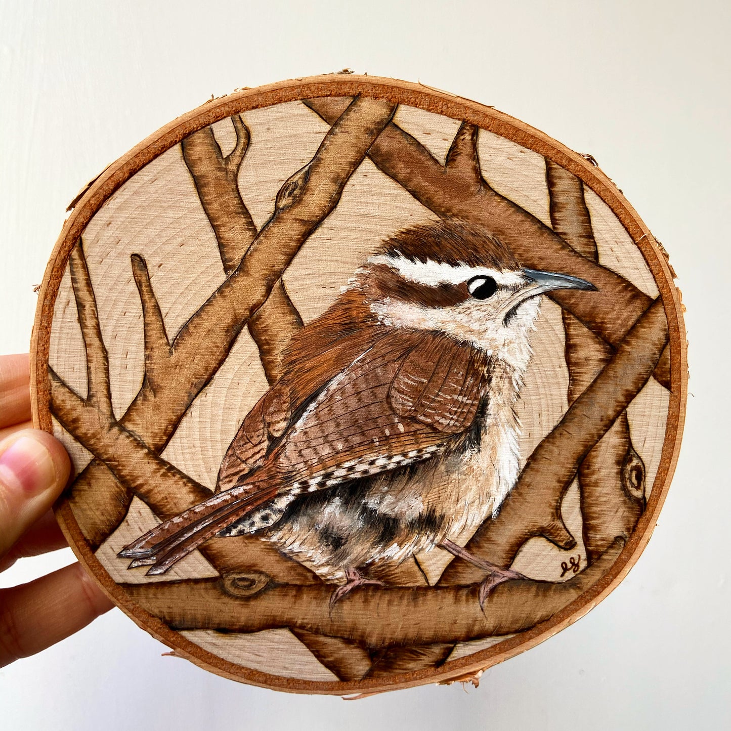 Carolina Wren - Original Pyrography