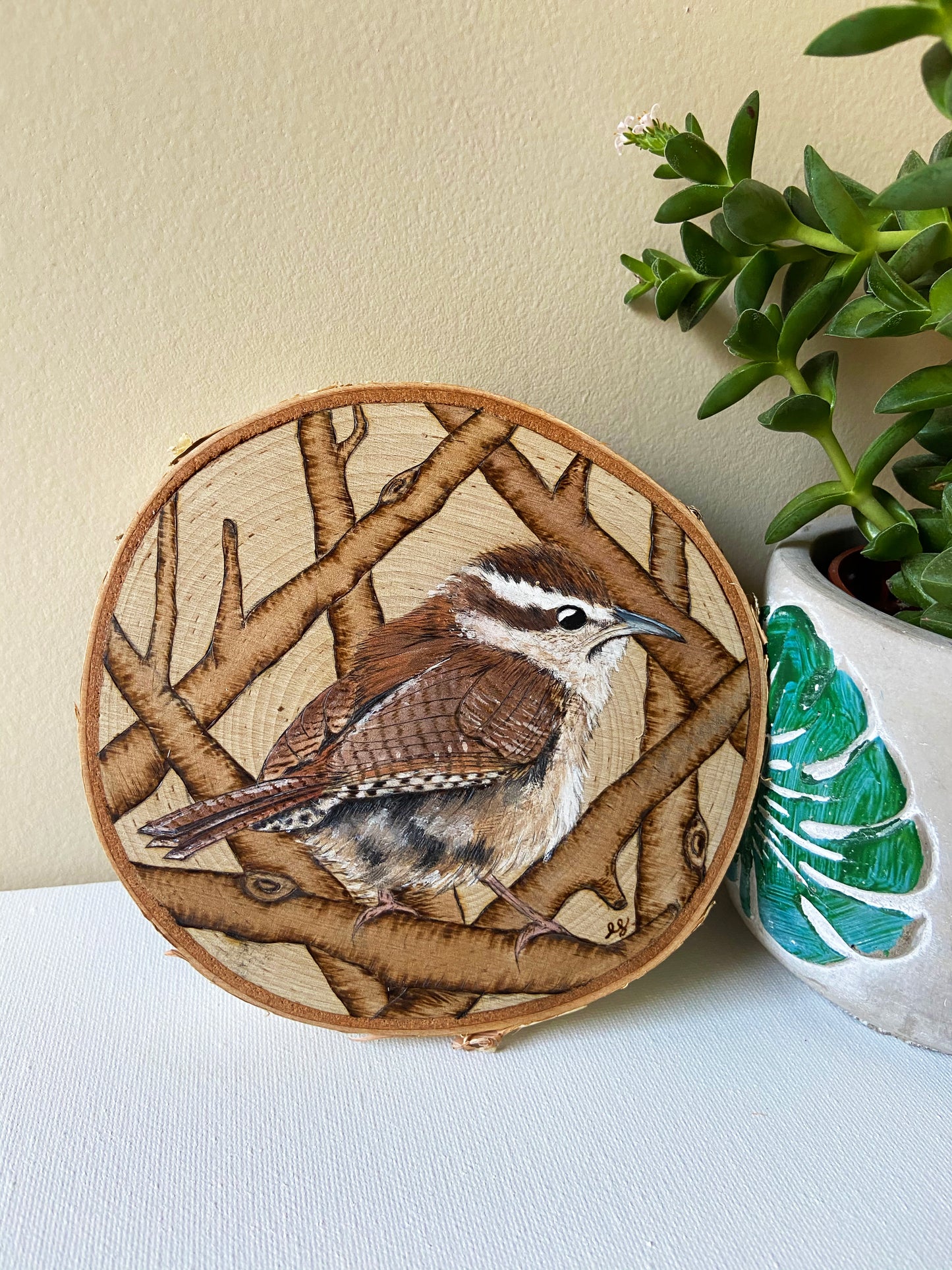 Carolina Wren - Original Pyrography