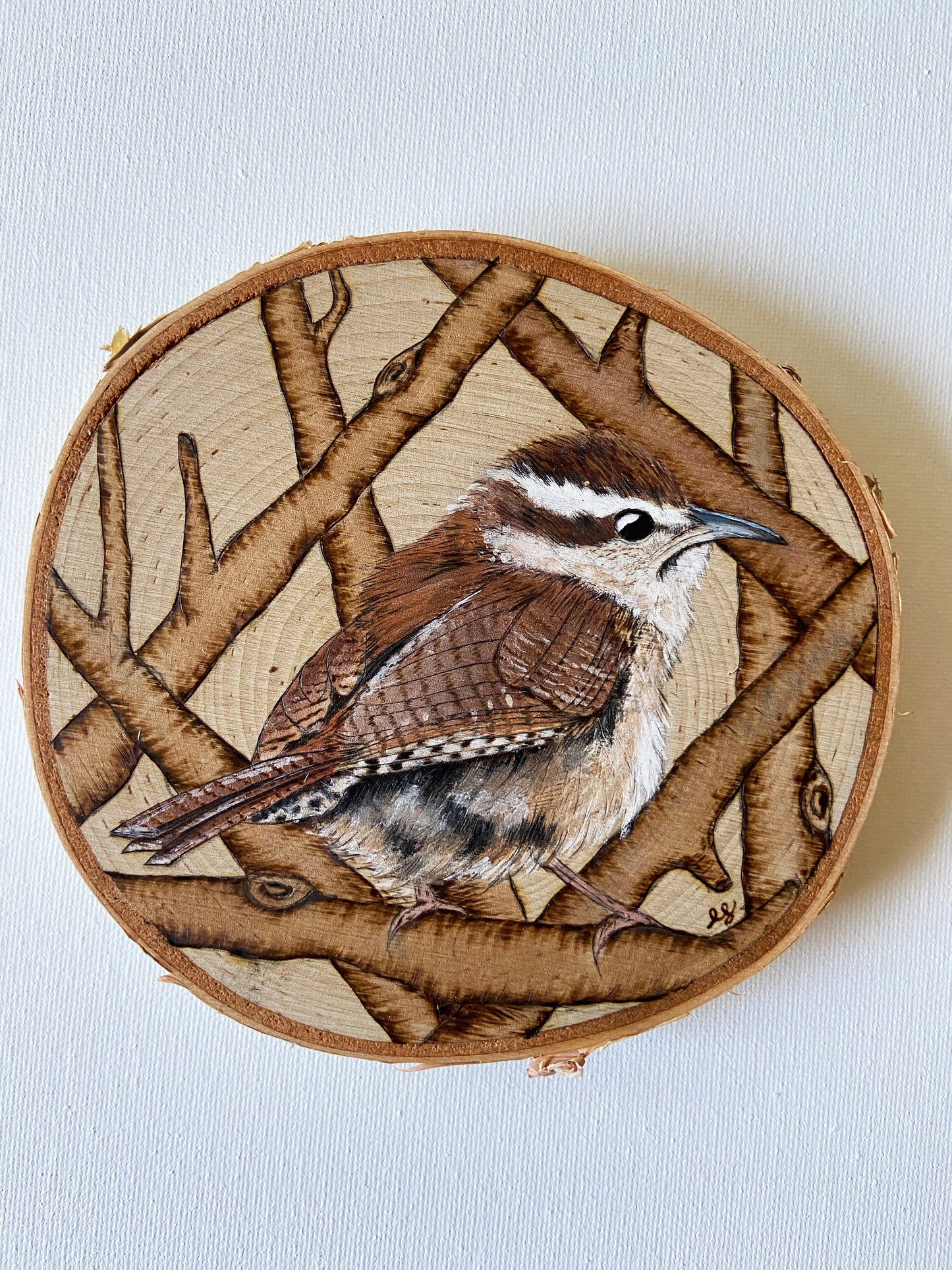 Carolina Wren - Original Pyrography