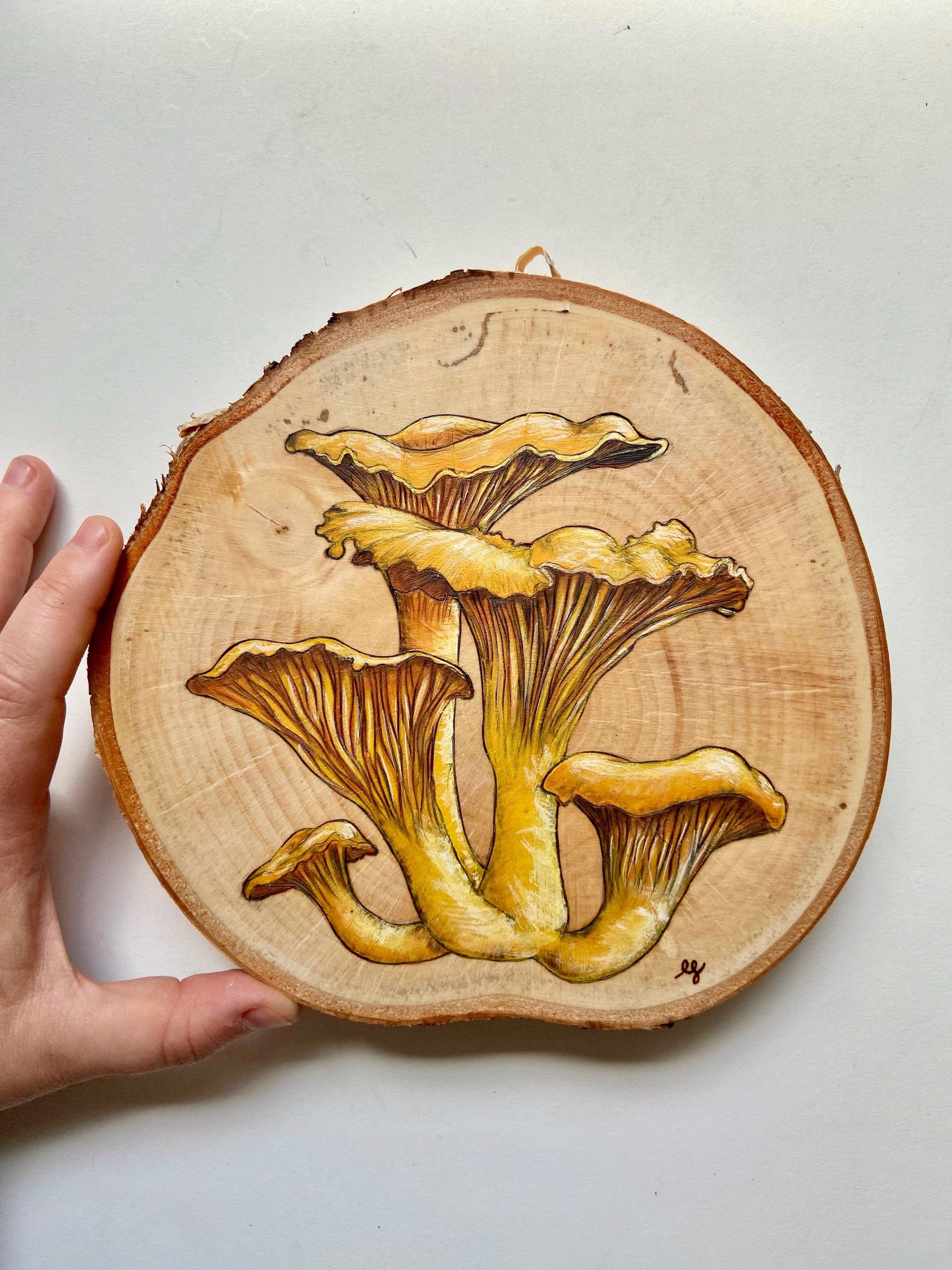 Wild Mushrooms Original Pyrography - Wood Vibes Art