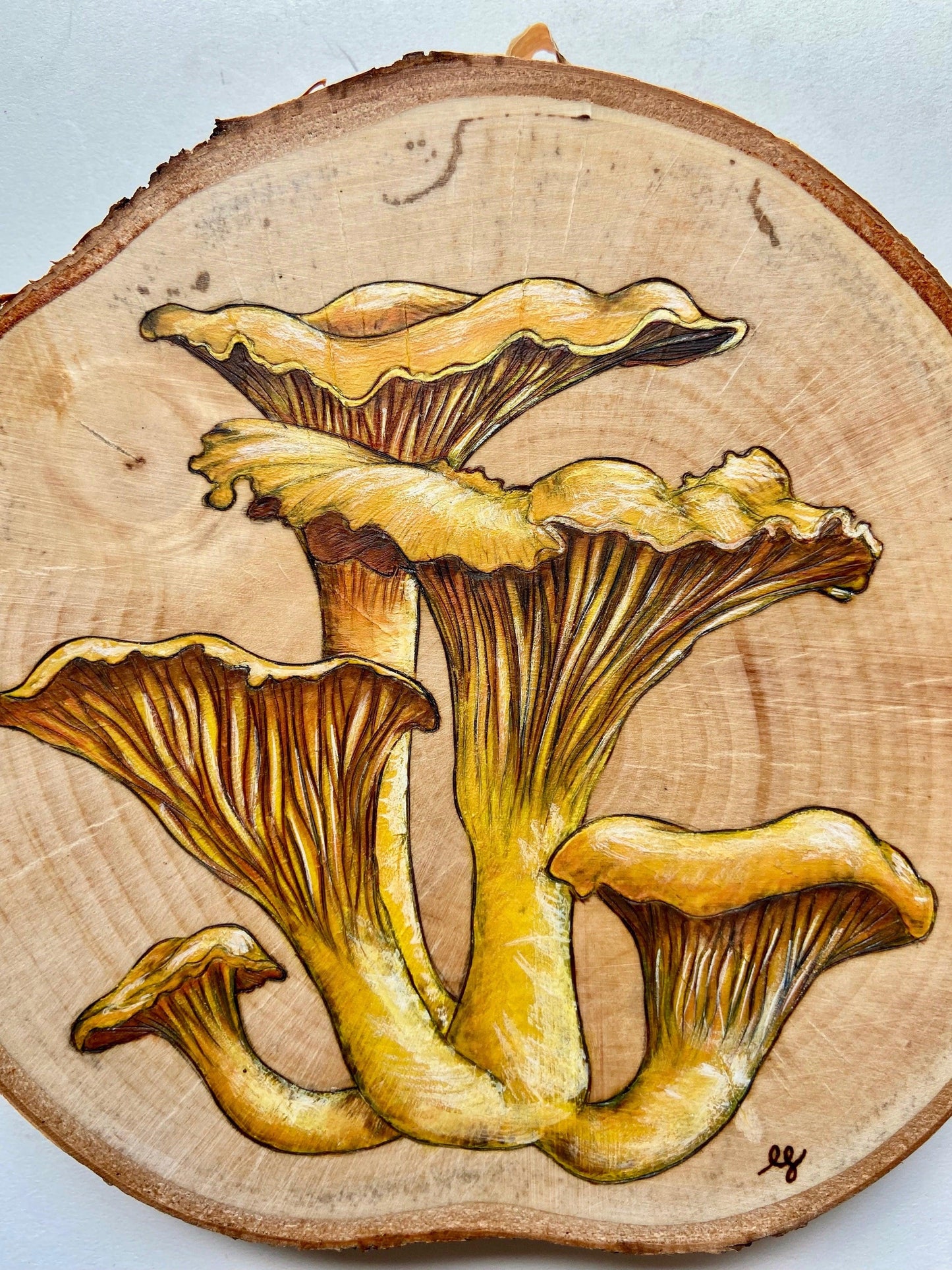 Wild Mushrooms Original Pyrography - Wood Vibes Art