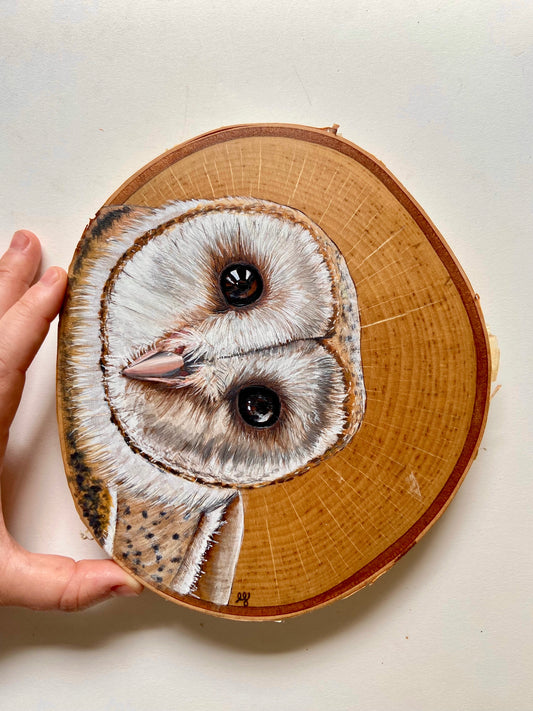Curious Barn Owl - Original Pyrography
