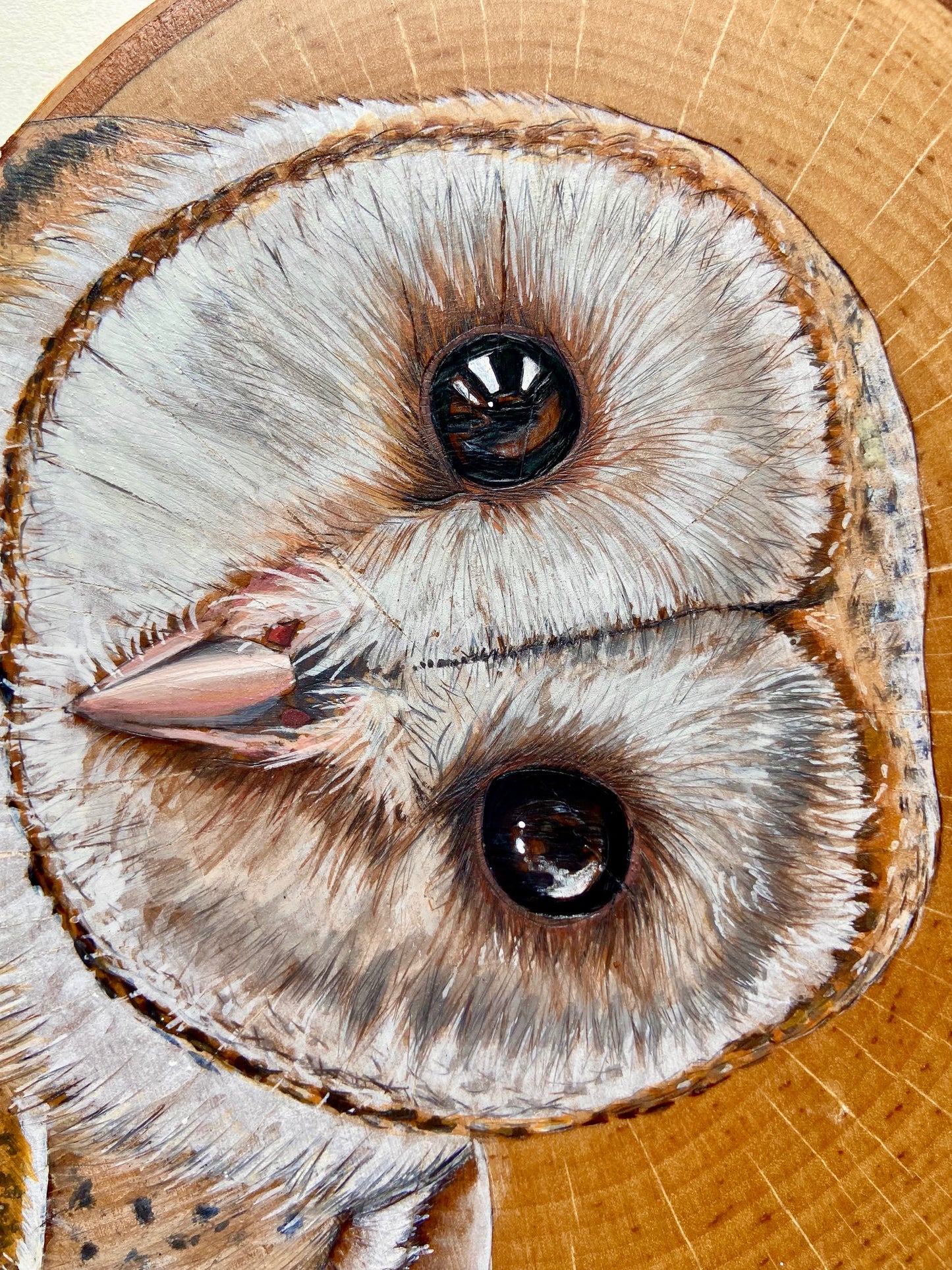 Curious Barn Owl - Original Pyrography