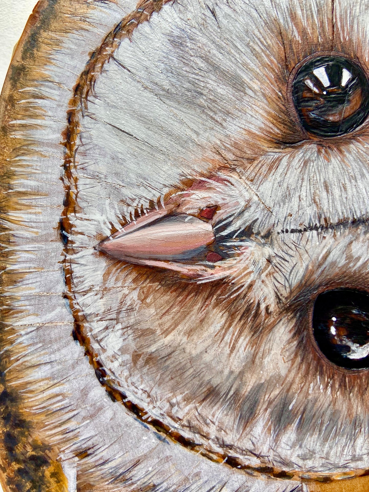 Curious Barn Owl - Original Pyrography