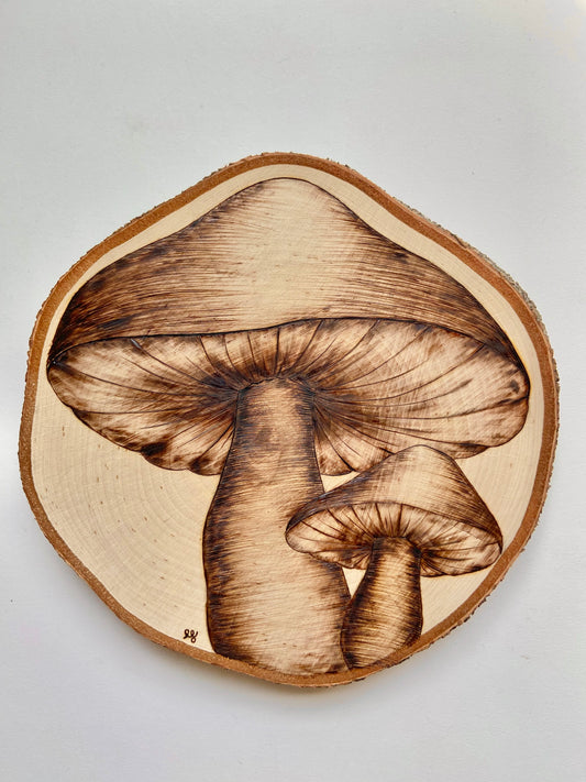 Simply Burned Mushrooms Original Pyrography (50% off at checkout)