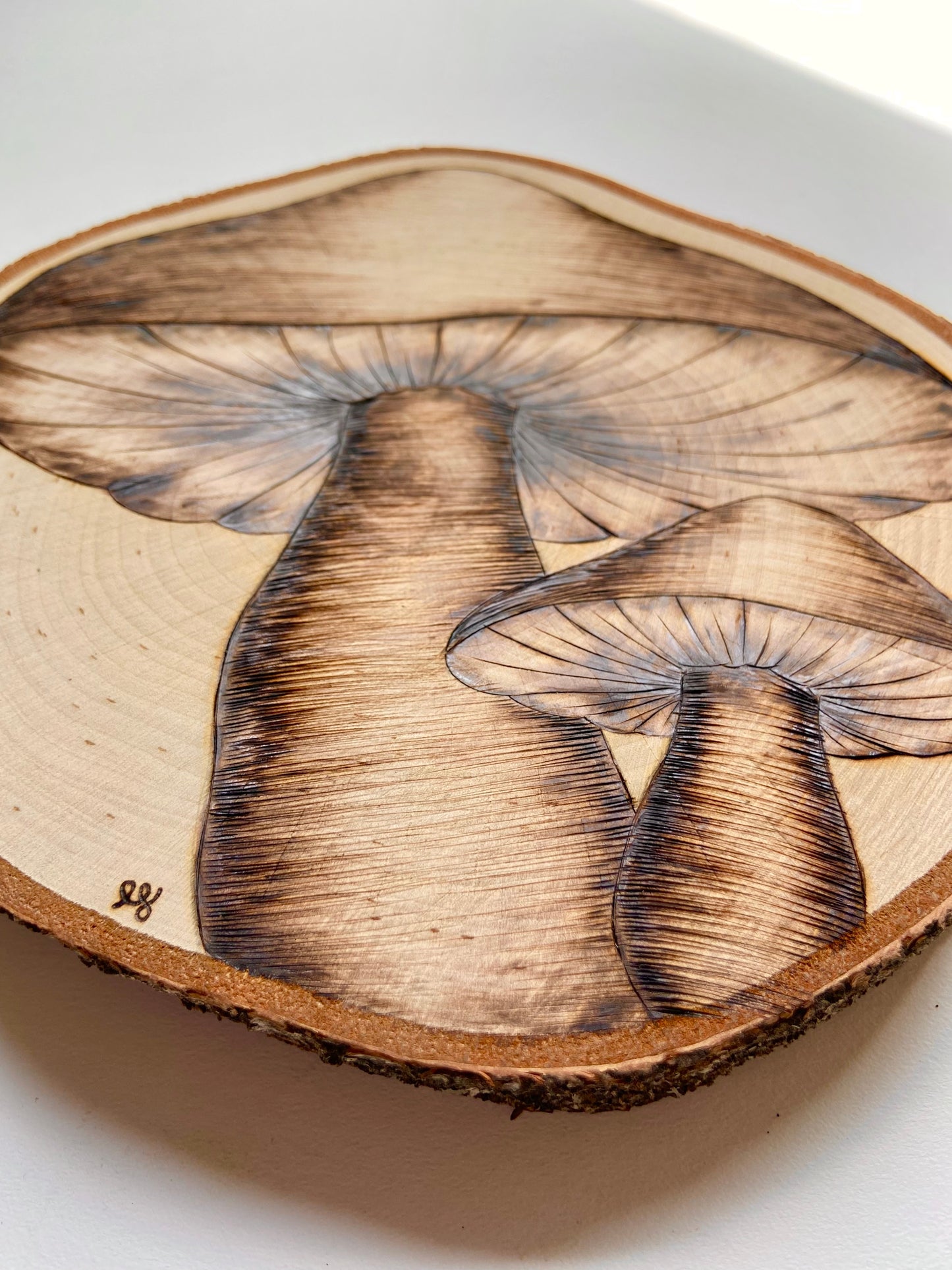 Simply Burned Mushrooms Original Pyrography (50% off at checkout)