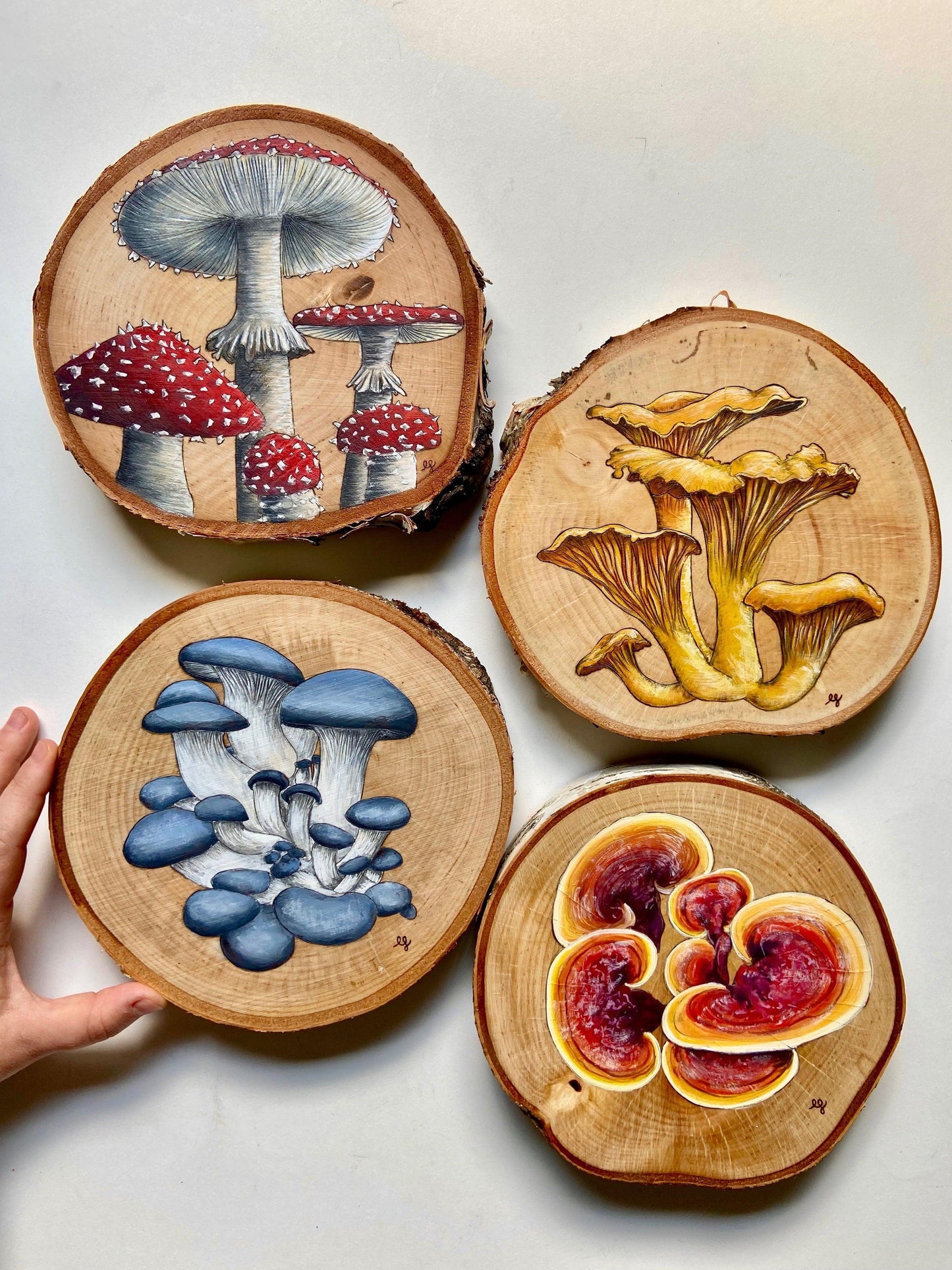 Wild Mushrooms Original Pyrography - Wood Vibes Art